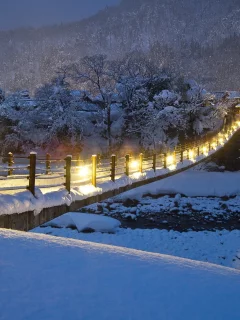 снег, природа, snow, мосты, winter, bridges, реки, деревья, зима, rivers, trees, nature