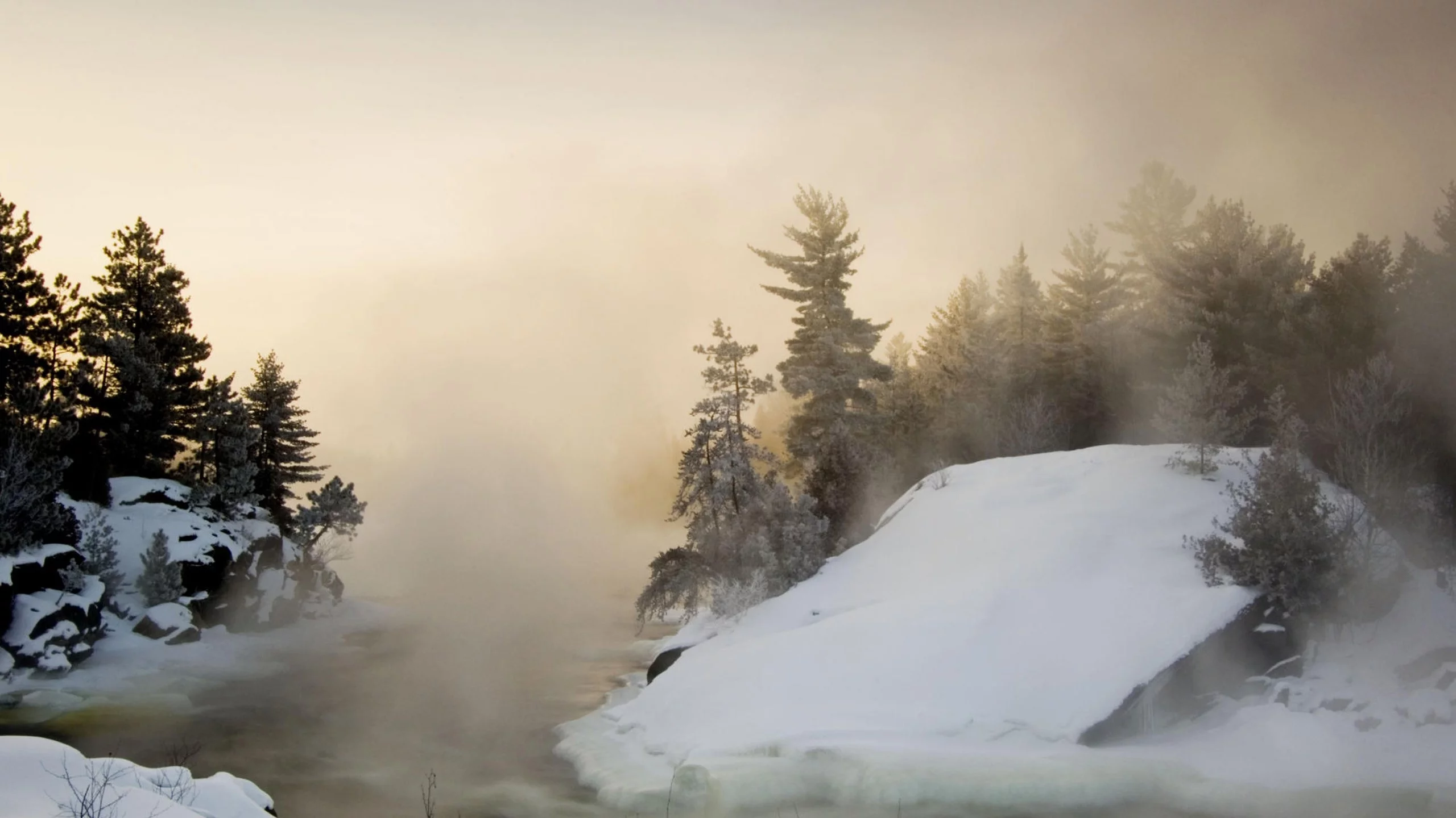 рек, снег, пихты, snow, rivers, fir, туман, fog