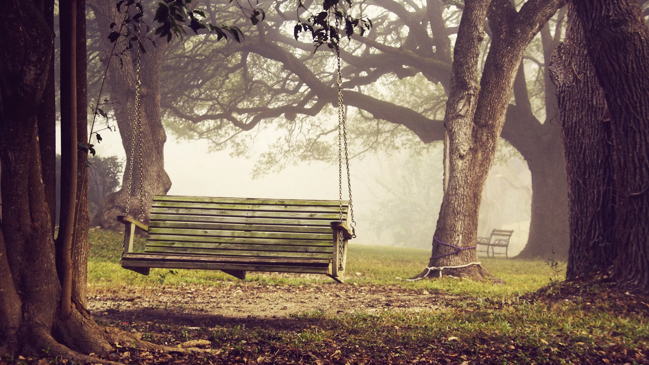 bench, скамья