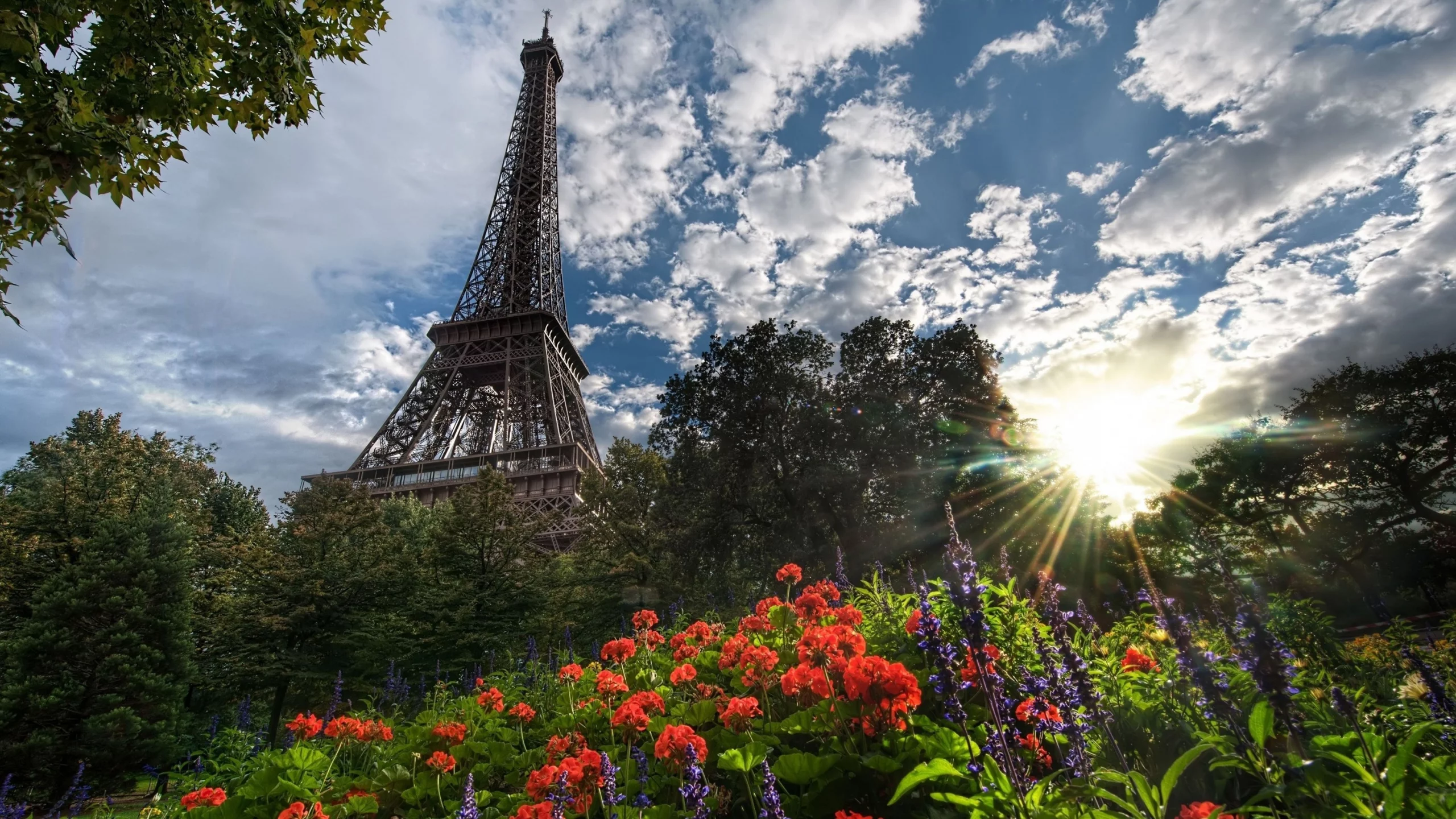 flowers, природа, skies, Эйфелева башня, города, Eiffel Tower, деревья, Paris, France, trees, nature, цветы, небо, cities, Франции, Париж