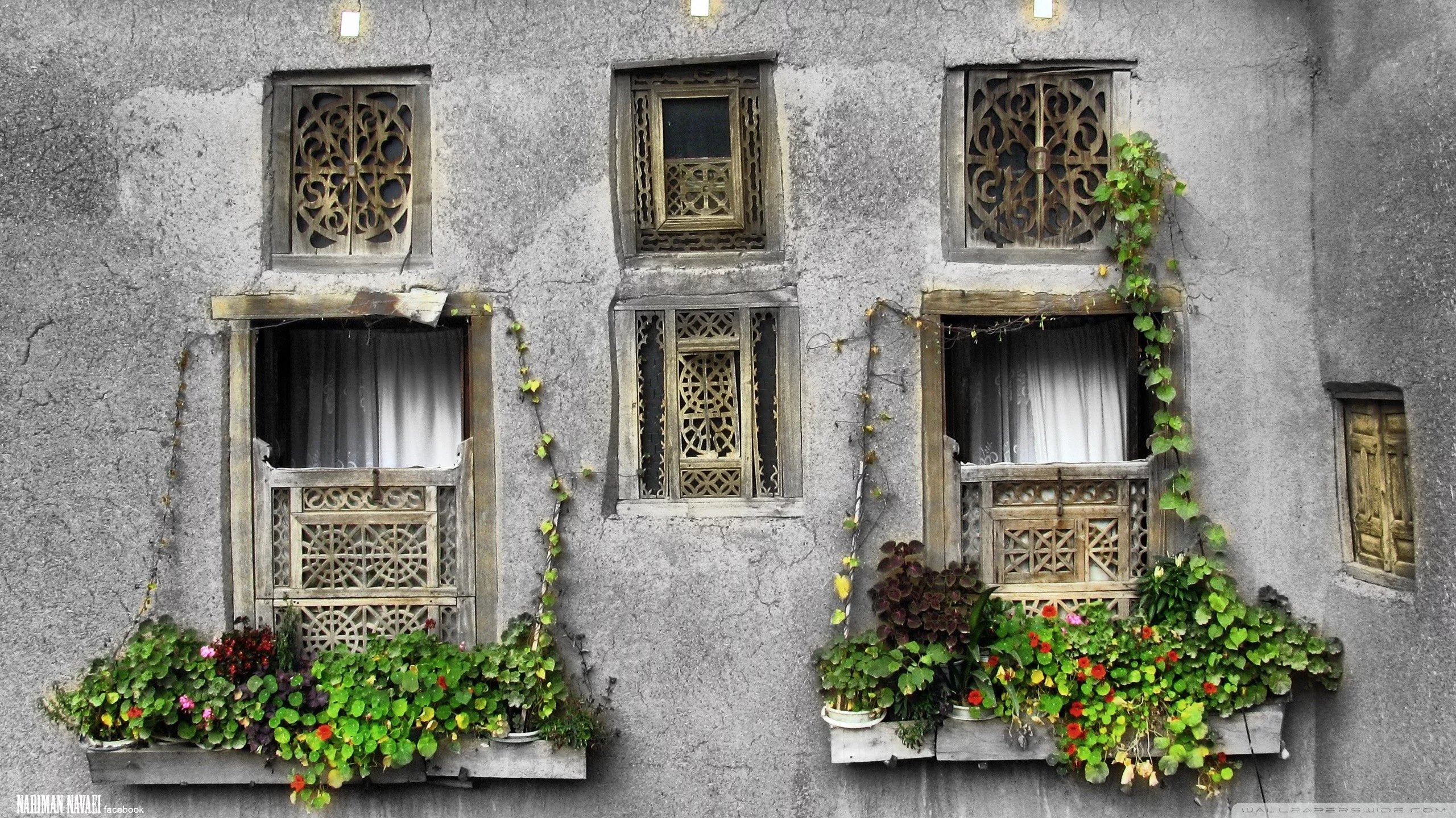 окна, Iran, Иран, windows