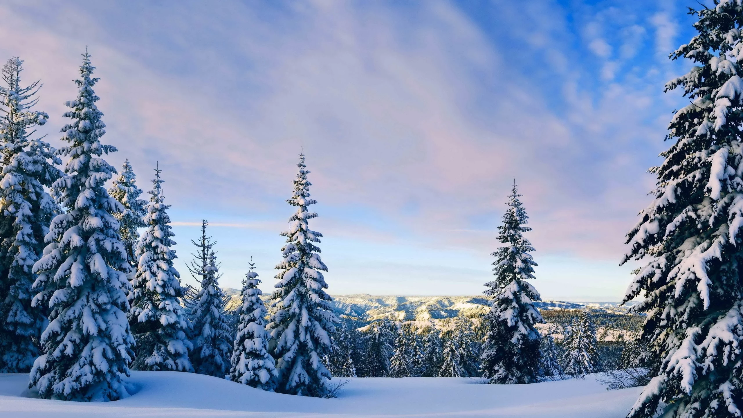 горы, trees, пейзажи, зима, nature, деревья, landscapes, природа, снег, mountains, winter, snow
