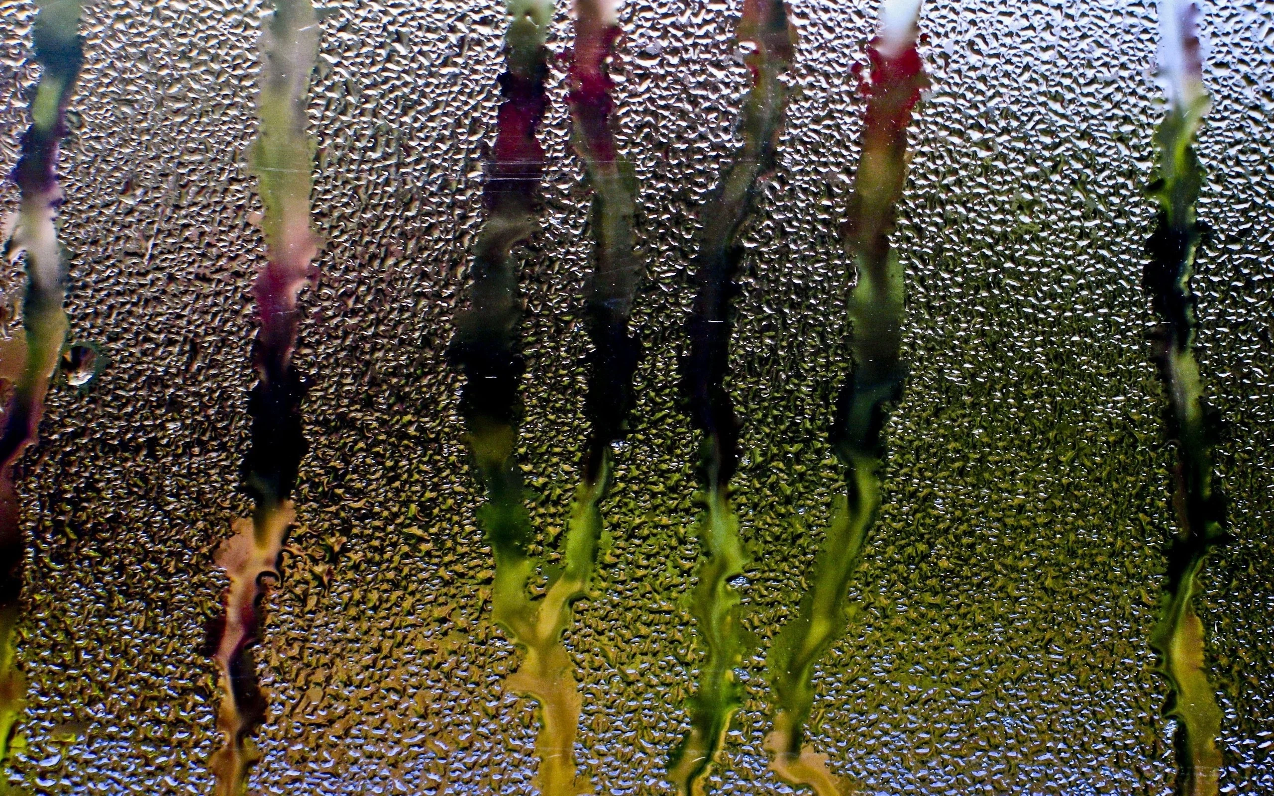 воды, water