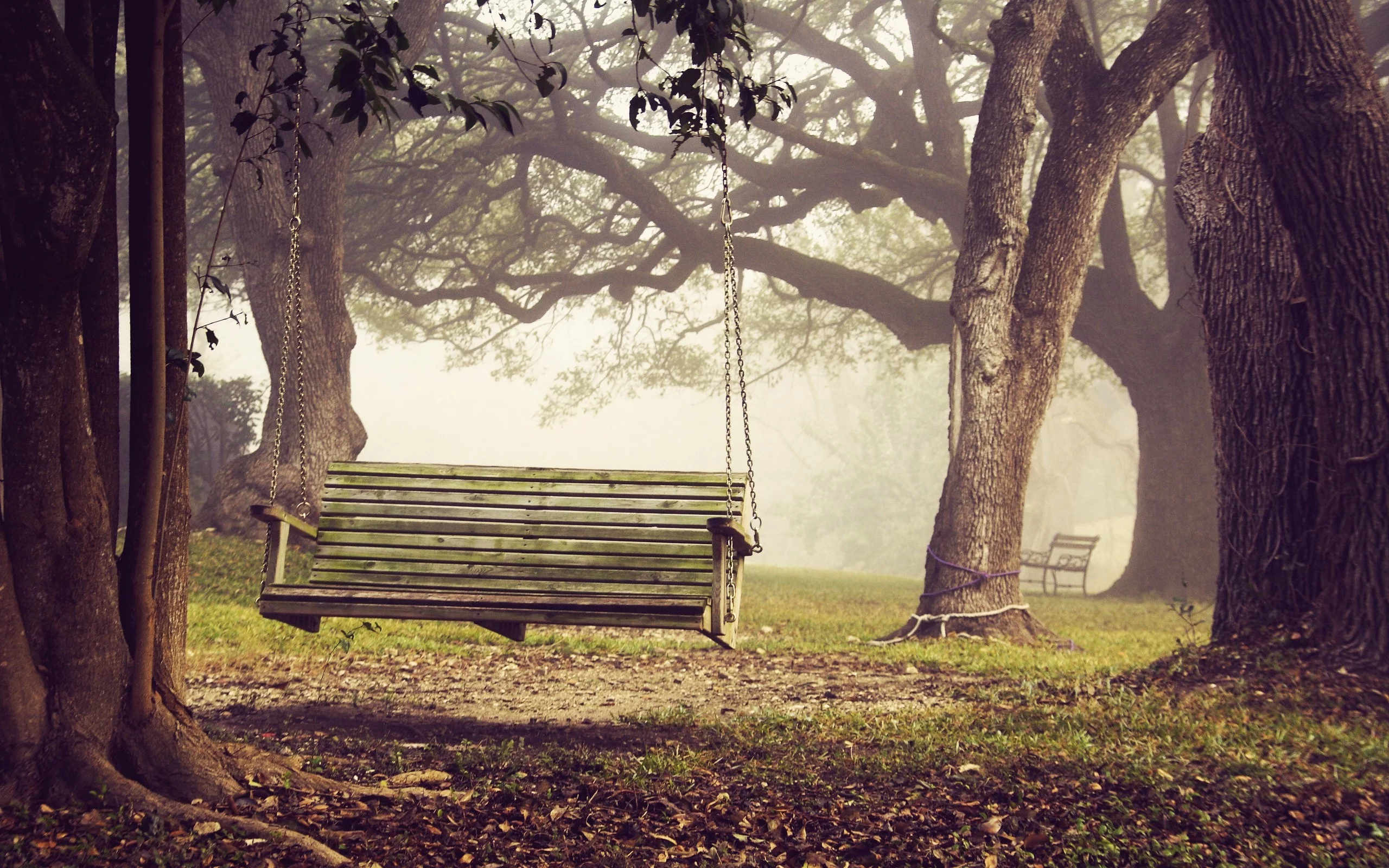 bench, скамья