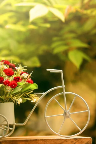 flowers, , minimalistic