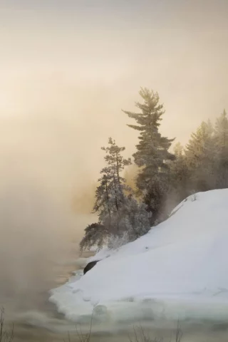рек, снег, пихты, snow, rivers, fir, туман, fog