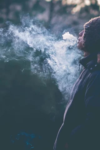 smoke, , books