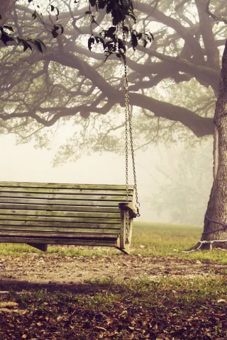 bench, скамья