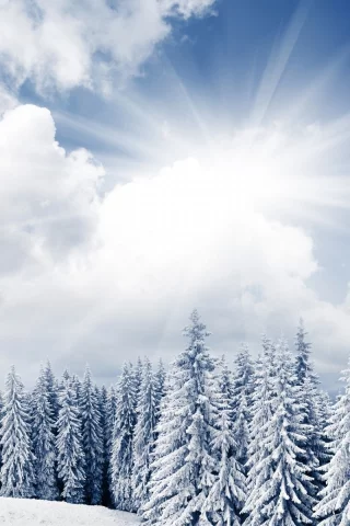 , winter