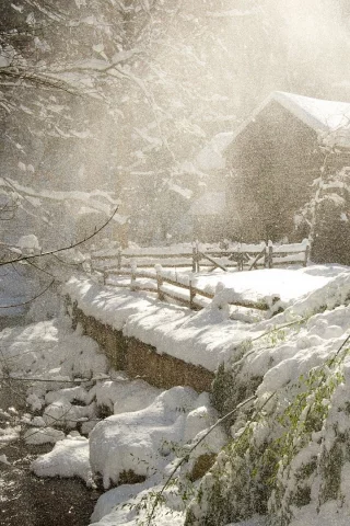 зима, winter