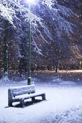 winter, зима