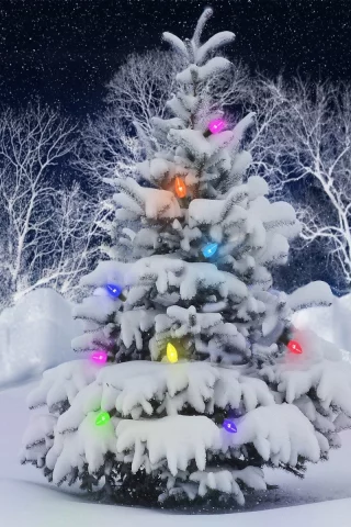 New Year, , 2013