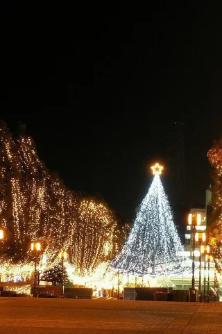 New Year, 2013, Новый год