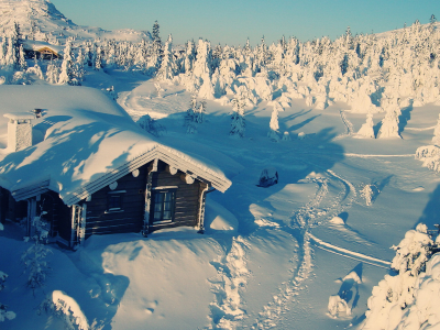 домик, природа, зима