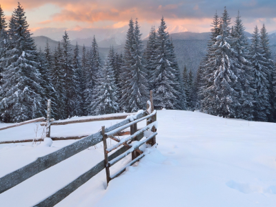 landscapes, снег, зима, пейзажи, snow, природа, winter, nature