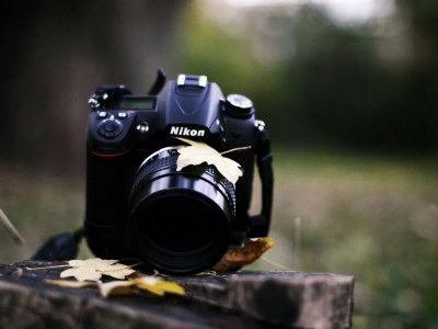 grass, autumn, , Nikon, upscaled, leaves