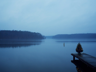 Christmas, trees, blue, , water