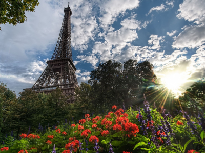 flowers, природа, skies, Эйфелева башня, города, Eiffel Tower, деревья, Paris, France, trees, nature, цветы, небо, cities, Франции, Париж
