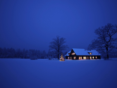 houses, lights, trees, blue, winter, night, alone, ice, , landscapes, dark