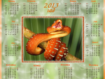 год змеи, 2013, календарь
