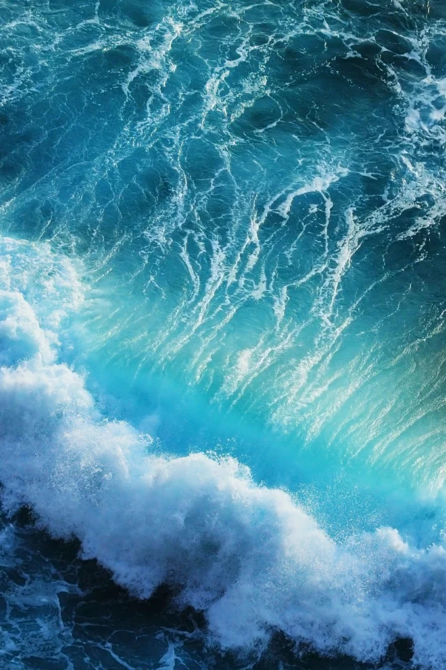 , ocean