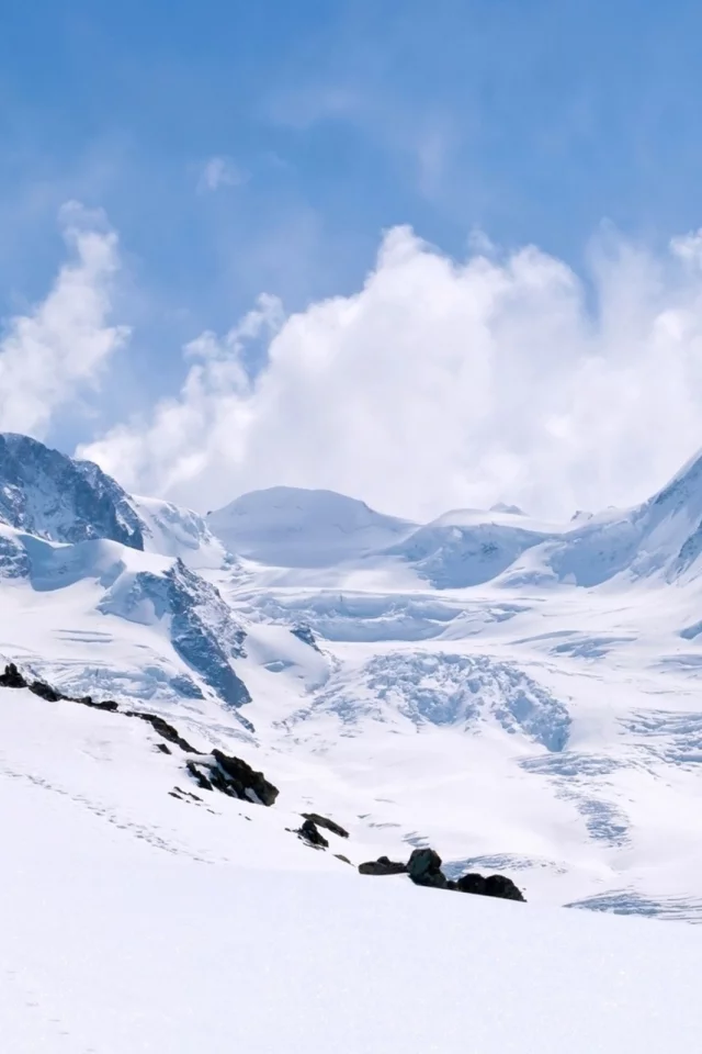 snow, снег