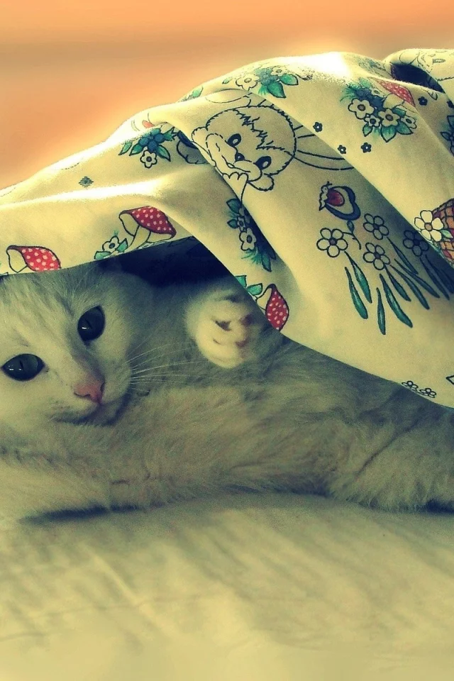 animals, животные