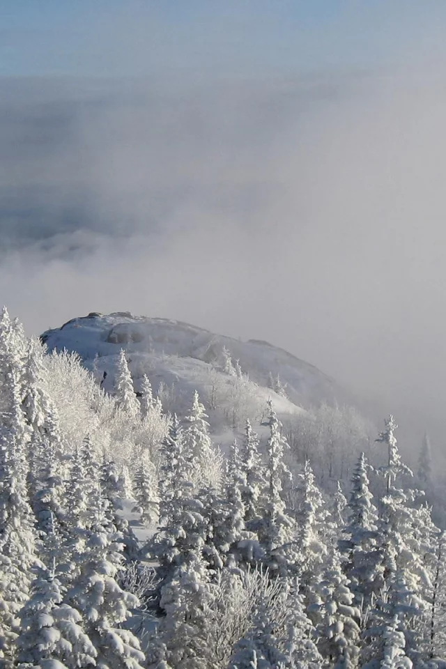 nature, landscapes, fog, mountains, snow, , trees