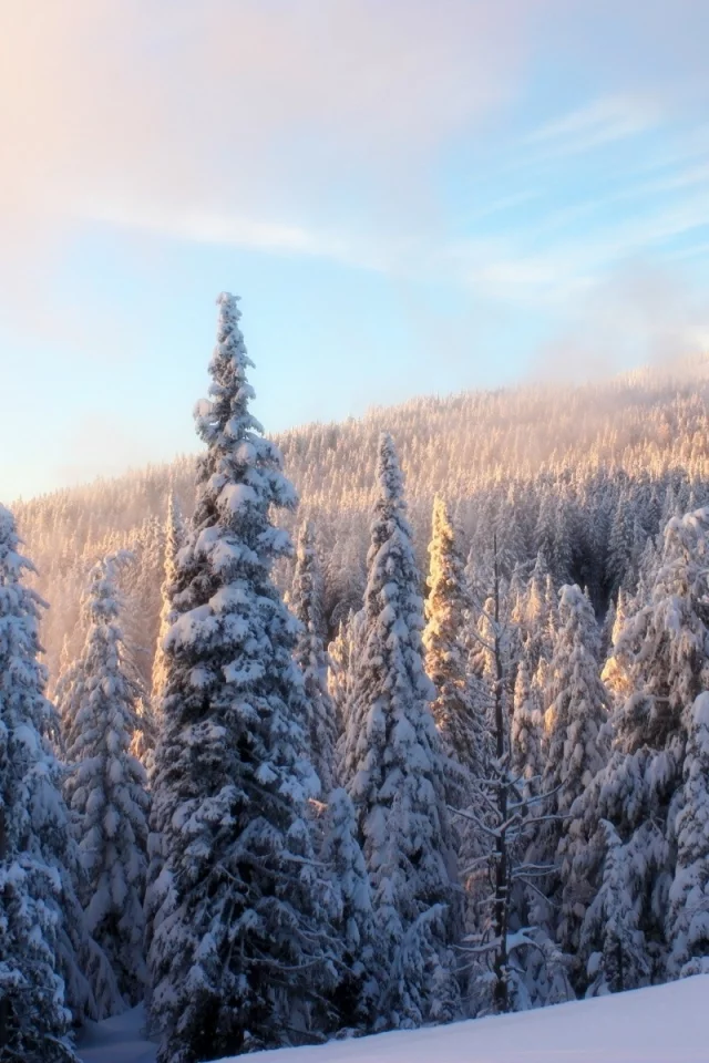 , winter