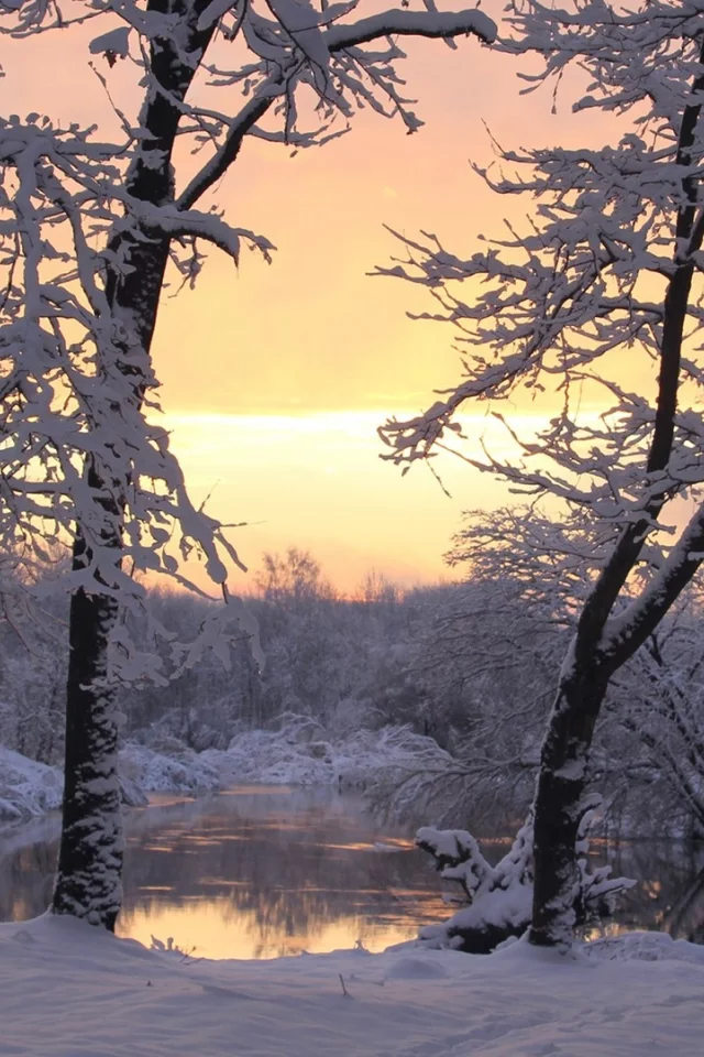 зима, winter
