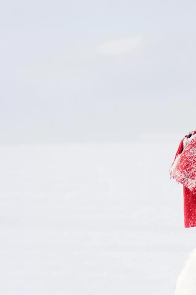winter, зима