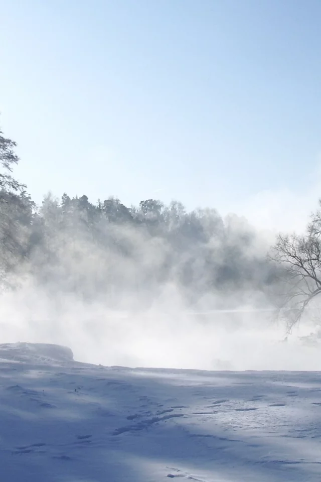 winter, зима