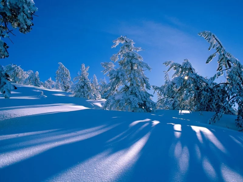 снег, природа, nature, winter, зима, landscapes, пейзажи, snow