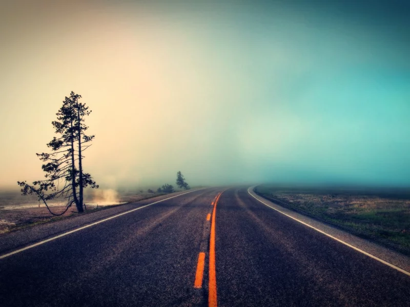 roads, ambiant, trees, Ambiant, деревья, туман, дороги, fog