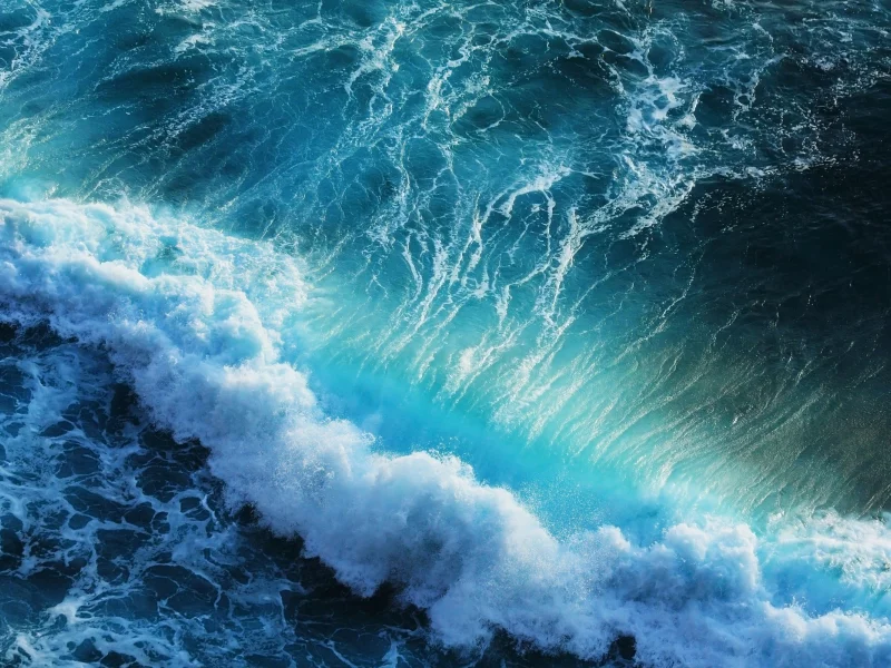 , ocean