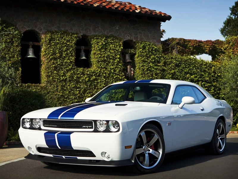 racing stripes, мышечная автомобилей, white, cars, гоночные полосы, белый, muscle car, Dodge, автомобили, Challenger