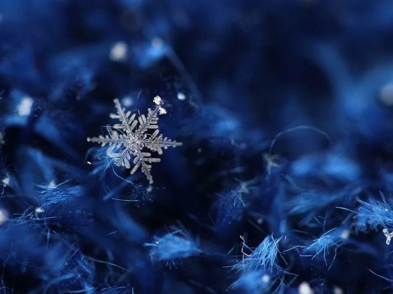 ice crystals, ледяные кристаллы, Зима, снег, snow, winter