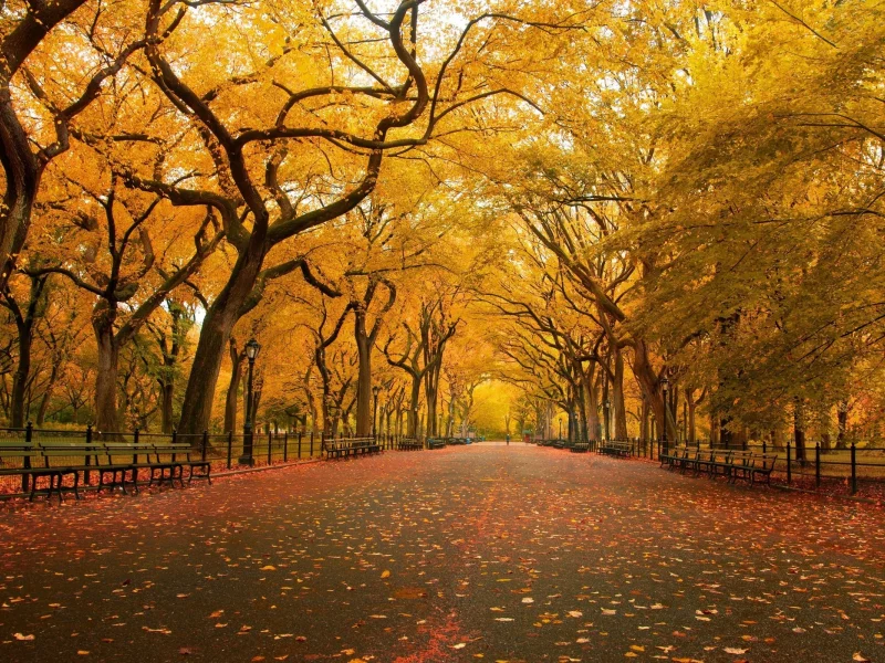 природа, nature
