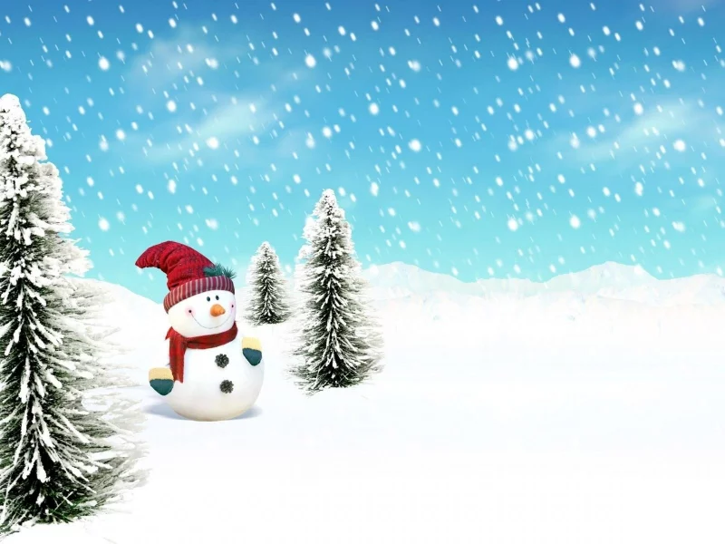 New Year, 2013, Новый год