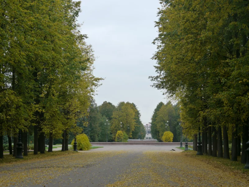 парк, Санкт-Петербург