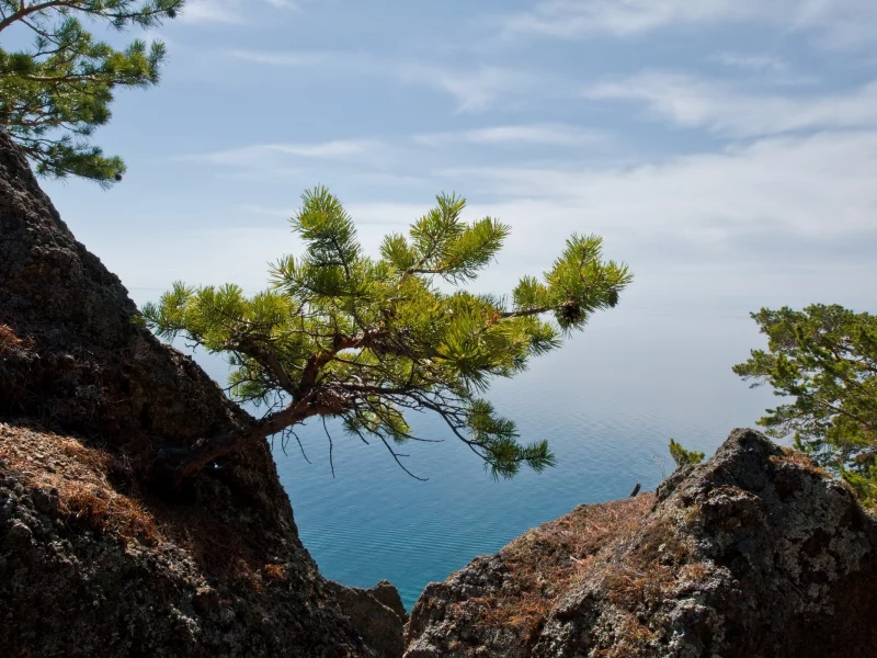 природа, landscapes, trees, пейзажи, nature, деревья