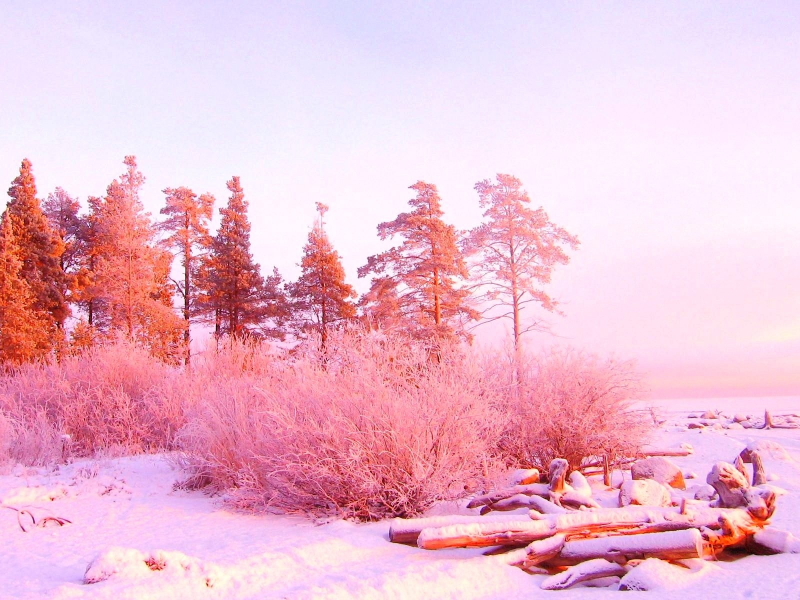 красота, природа, зима