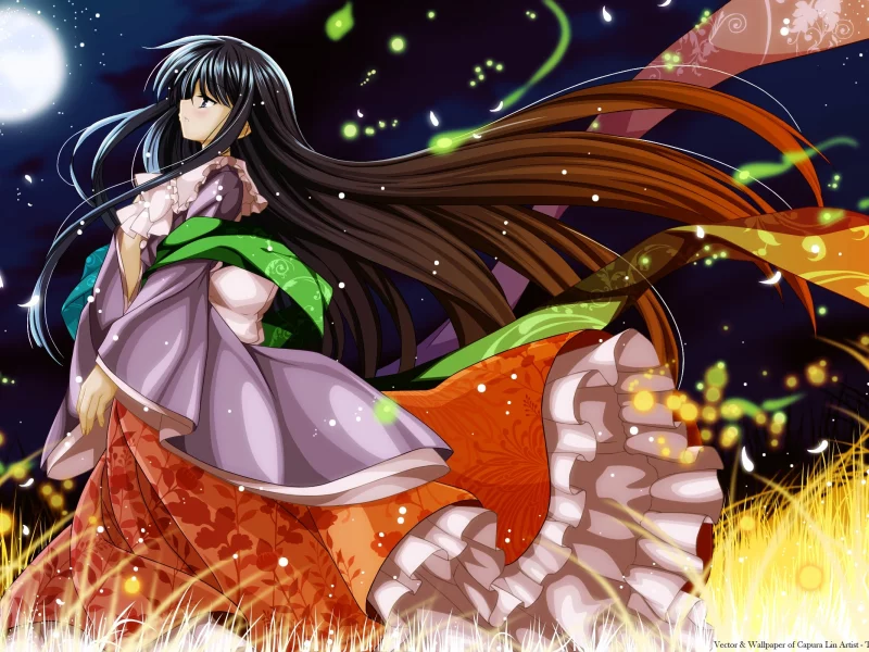 skies, black hair, black eyes, profile, scarfs, video games, Moon, anime girls, skirts, bows, stars, glowing, wide sleeves, fireflies, long hair, Capura Lin, Full Moon, brunettes, flower petals, Touhou, grass, night, bicolored hair, Houraisan Kaguya,