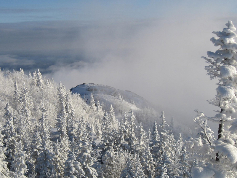 nature, landscapes, fog, mountains, snow, , trees