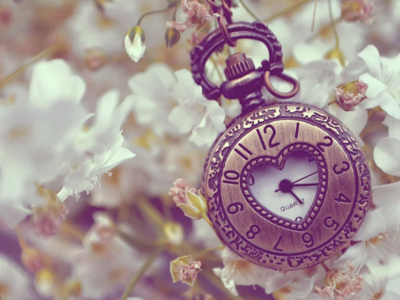 clocks, часы