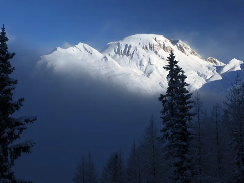 природа, landscapes, пейзажи, forest, nature, горы, деревья, fog, лес, mountains, туман, trees