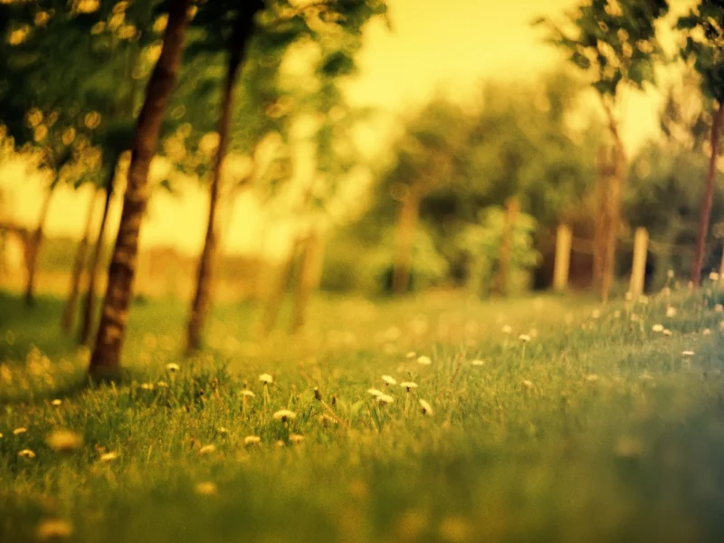 nature, landscapes, природа, 66, пейзажи