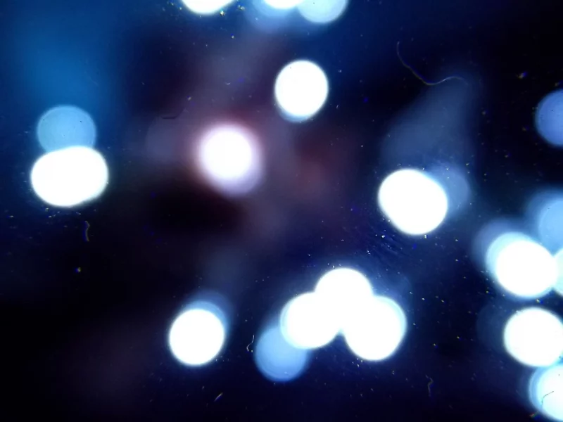 Moon, The Sun, , lights
