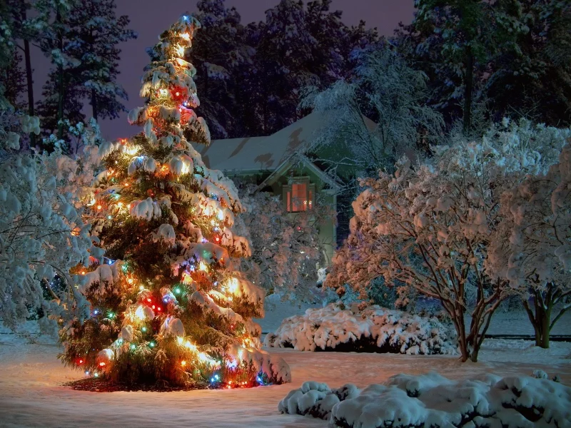 New Year, 2013, Новый год