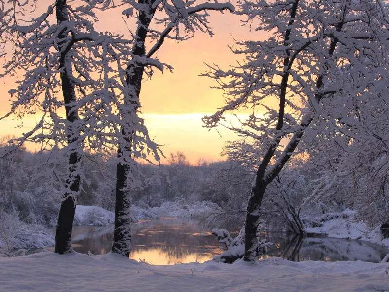 зима, winter